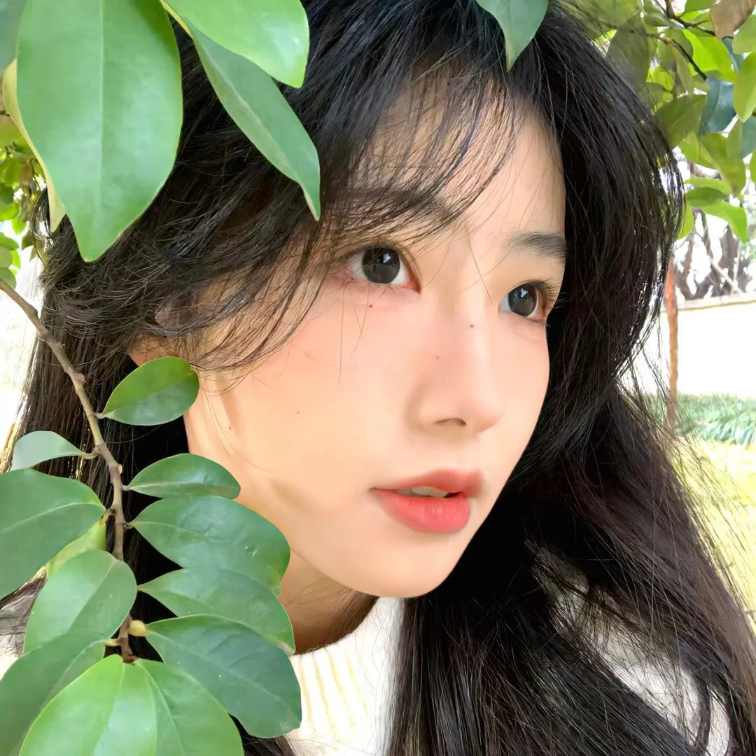 狼之谜