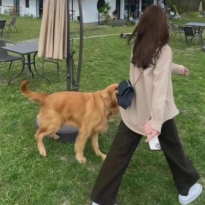 狂犬病
