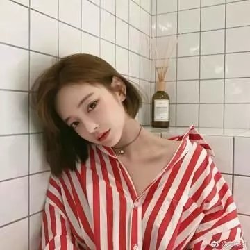 鹡鸰女神第一季